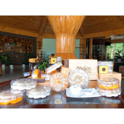 Yến sào Đảo Yến Phú Quốc - Tổ yến Hồng tinh chế nguyên sợi - Hỗ trợ sức khỏe - Tăng sức đề kháng, hệ miễn dịch - Tổ yến cho bé