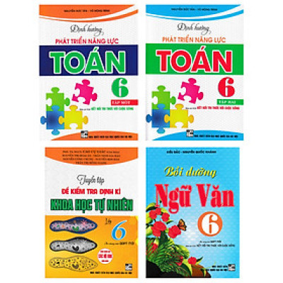 COMBO BỘ SÁCH THAM KHẢO TOÁN - VĂN - KHOA HỌC TỰ NHIÊN LỚP 6 (BÁM SÁT SGK KẾT NỐI TRI THỨC VỚI CUỘC SỐNG) (BỘ 4 CUỐN)