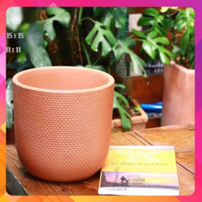 Chậu Gốm Đất Nung Kiểu TRỨNG DA RẮN size 15cm