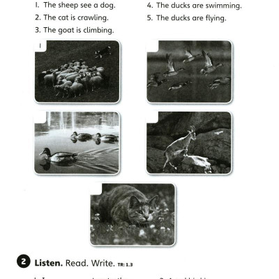 Explore Our World 2: Workbook - 2nd Edition