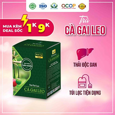 Trà cà gai leo túi lọc cà dây leo của siêu thị thiên nhiên