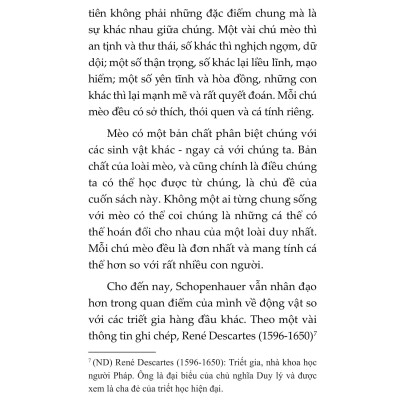 Mèo Và Triết Lý Nhân Sinh