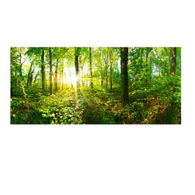 Tranh Dán Tường 3D | Tranh dán tường cửa sổ 3D | T3DMN_T6_356