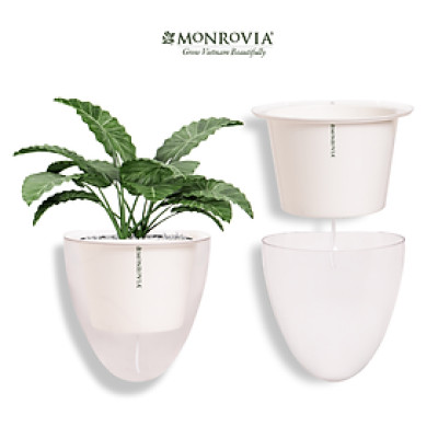 Chậu tự tưới treo tường K01 MONROVIA dành cho cây, hoa, decor không gian sống, văn phòng