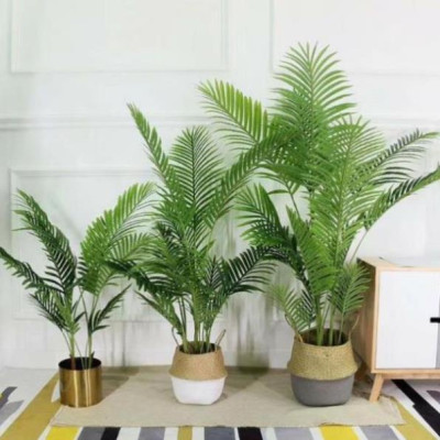 Cây dừa giả cảnh - cao 170cm - Cây giả, hoa lụa Decor trang trí nhà cửa