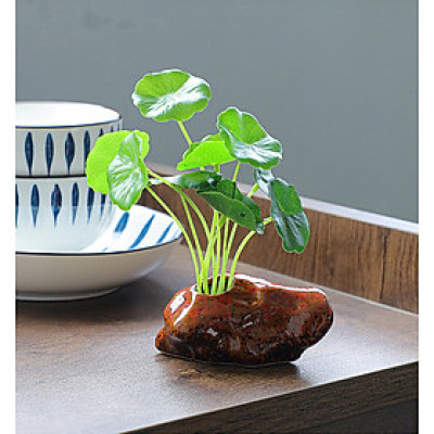 Chậu cỏ đồng tiền bằng đất nung tráng men