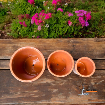 Bộ 3 Chậu Vót Sơn WAX Vân Lá Liễu