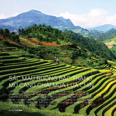 Tạp chí Kiến Trúc và Đời Sống số 231 (Tháng 9-2025)_ Mua thiết kế có sẵn