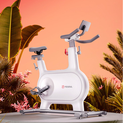 Xe Đạp Tập Thông Minh Yesoul M2