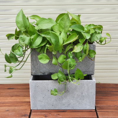 Chậu đá ong xám dài 30xR15xC15cm trồng cây ốp tường đá, chậu treo tường trồng cây cảnh đẹp, chậu trồng cây treo tường bằng đá, Chậu hoa đá ong xám