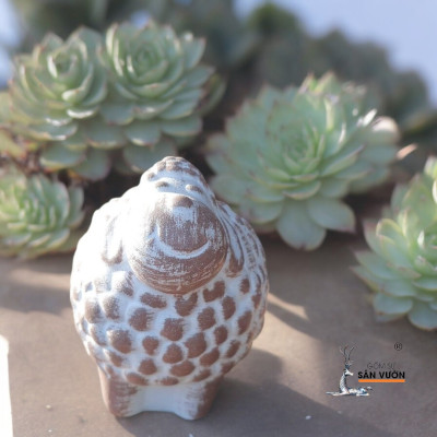 Chậu Gốm Đất Nung Hình Con Cừu - Chậu Trồng Sen Đá Dễ Thương