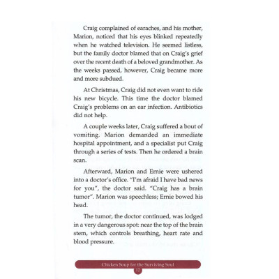 Chicken Soup For The Surviving Soul 18 - Vượt Lên Nghịch Cảnh - Bản Quyền