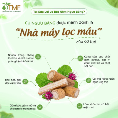 Combo 2 gói Bột Nêm Ngưu Báng 200g thuần chay không bột ngọt cho bé ăn dặm TÂM MINH FOODS