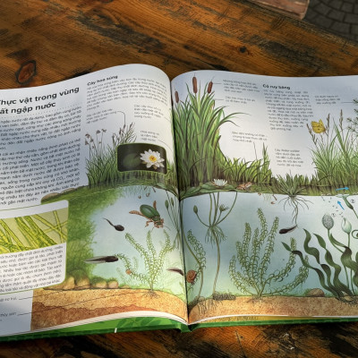 (Bìa cứng) COMBO 5 CUỐN HÀNH TRÌNH KHÁM PHÁ: MÔI TRƯỜNG, ĐỘNG VẬT, THỰC VẬT, CÔN TRÙNG, CƠ THỂ CON NGƯỜI_Tân Việt - NXB Mỹ Thuật