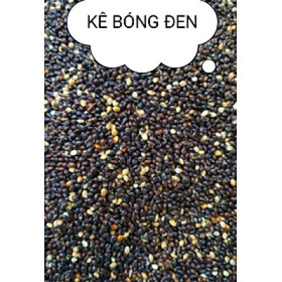 hạt kê bóng đen dùng làm thức ăn cho chim, vẹt, yến phụng