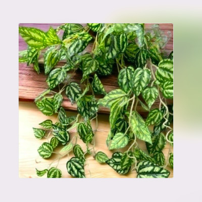 Cụm lá rủ giả, dây leo trang trí, cụm lá treo tường trang trí ban công nhà cửa, nhà hàng, quán ăn