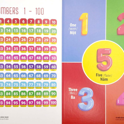 Bộ Sách Từ Điển Bằng Tranh: Hoa, Quả, Rau Củ - Chữ Cái Và Số Đếm - Phương Tiện Giao Thông (Bộ 3 Cuốn)