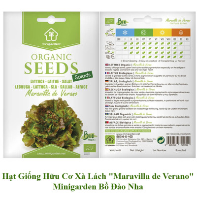 Set 3 Túi Hạt Giống Hữu Cơ Xà Lách Lettuce "Maravilla De Verano" Nhập Khẩu Minigarden Bồ Đào Nha 100% Organic (Túi từ 1.500 - 2.100 hạt) Tỷ lệ nảy mầm cao