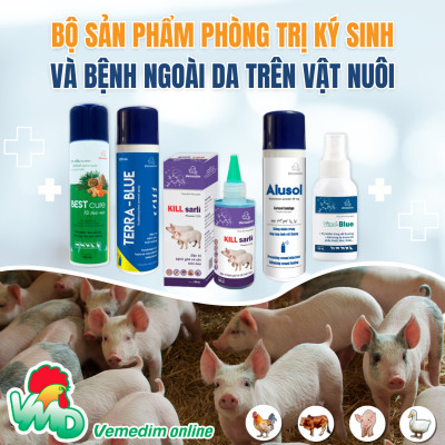 AMOXI 20% LA Thuốc tiêm đặc trị viêm phổi, viêm vú, viêm tử cung, tiết niệu, tác động kéo dài 48h dùng cho chó, mèo, Chai 100ml, sản phẩm Vemedim