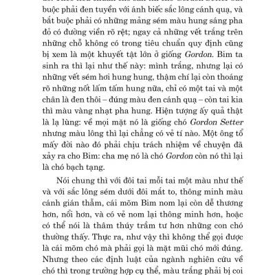 Văn Học Cổ Điển - Con Bim Trắng Tai Đen (Tái Bản 2023)