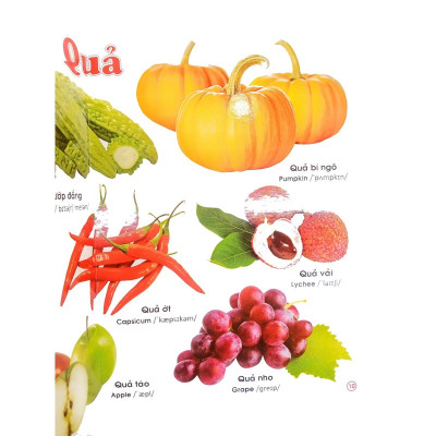 Sách - Combo 2 cuốn Từ Điển Tranh ( Động vật - b135 + Rau củ hoa quả - b65) Song ngữ Anh Việt - ndbooks