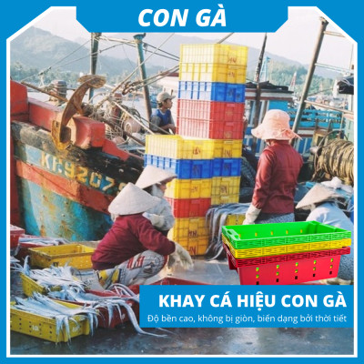 Khay nhựa chữ nhật trồng rau/đựng đồ/ đựng cá siêu bền Siam Brothers - Đỏ