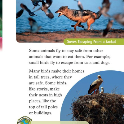 Oxford Read and Discover 3 Animals In the Air