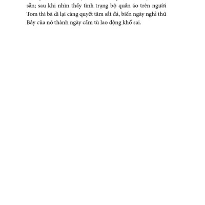 Sách - Những Cuộc Phiêu Lưu Của Tom Sawyer - Bìa Vải