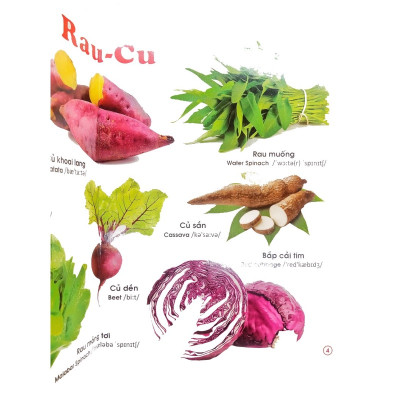 Sách - Combo 2 cuốn Từ Điển Tranh ( Động vật - b135 + Rau củ hoa quả - b65) Song ngữ Anh Việt - ndbooks