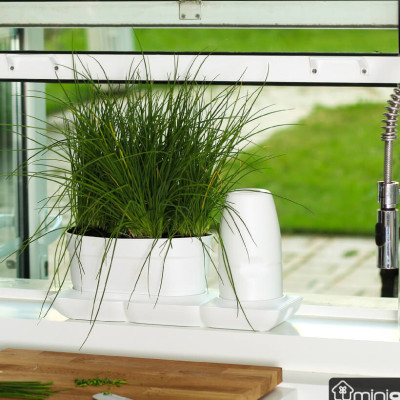 CHẬU TRỒNG RAU TỰ DƯỠNG NHẬP KHẨU CHÂU ÂU TỰ ĐỘNG TRONG 2 THÁNG, SỬ DỤNG 10 NĂM