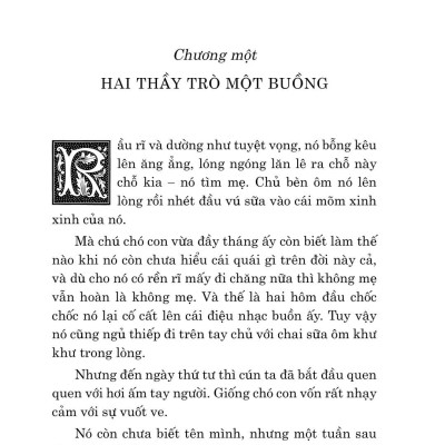 Văn Học Cổ Điển - Con Bim Trắng Tai Đen (Tái Bản 2023)