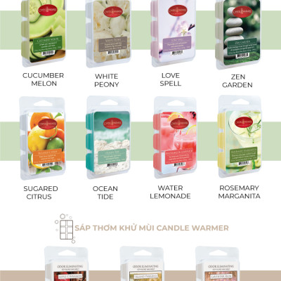 Sáp thơm Candle Warmer - Mahogany Teak