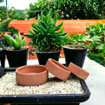 Bộ 3 Chậu Gốm Đất Nung Sọc Caro Và Góc Cây