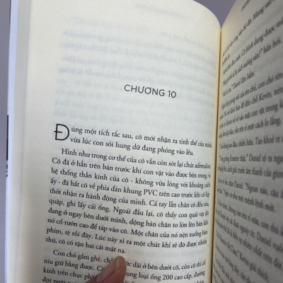 CHUYÊN GIA HÓA HỌC - Stephenie Meyer - Dã Thảo dịch - Nhà xuất bản Trẻ