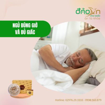 Yến sào Đảo Yến Phú Quốc - Tổ yến Hồng tinh chế nguyên sợi - Hỗ trợ sức khỏe - Tăng sức đề kháng, hệ miễn dịch - Tổ yến cho bé