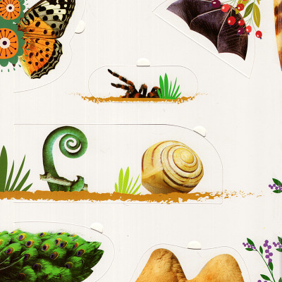  Lift-The-Flap - Lật Mở Khám Phá: First 100 Animals - 100 Từ Đầu Tiên Về Các Loài Động Vật