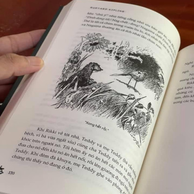 CHUYỆN RỪNG XANH (Bìa mềm)