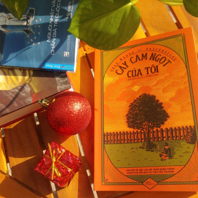 Combo 3 sách thiếu nhi: Cây cam ngọt của tôi + Lũ trẻ làng Ồn Ào + Làng Ồn Ào vui ơi là vui 