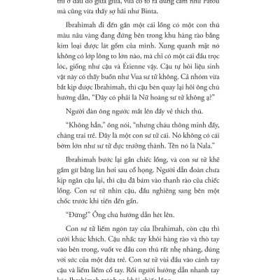 Sách - Talibé - Những Đứa Trẻ Đường Phố