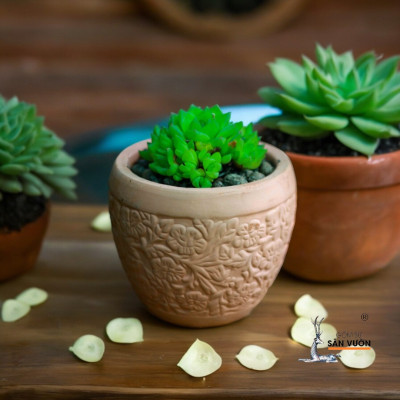 Chậu Gốm Đất Nung Chum Hoa Văn - Chậu Trồng Sen Đá