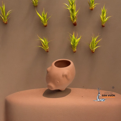 Chậu Gốm Heo Con Mini - Chậu Trồng Sen Đá Dễ Thương