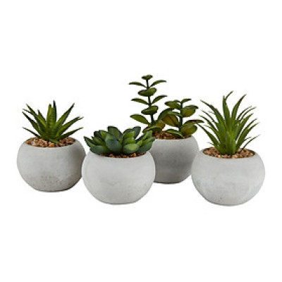 Cây hoa trang trí | JYSK Bror | xi măng/nhựa | xanh/xám | DK7xC9cm