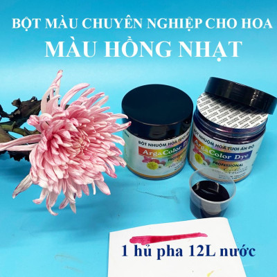 Thuốc Bột Nhuộm Hoa Tươi  màu thực phẩm Ấn Độ (Combo 3 hộp tùy màu) giúp đổi màu hoa cắt cành (1 hủ pha 12L nước màu)