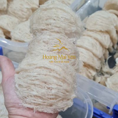 Yến sào tinh chế cao cấp 100g