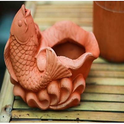 Chậu Cây Gốm Đất Nung (terracotta) Hình CHẬU CÁ