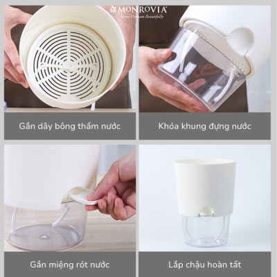 Chậu tự tưới trong suốt A712 Monrovia cho cây cảnh, hoa, bonsai để bàn, decor, ban công