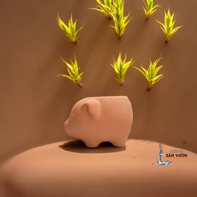 Chậu Gốm Heo Con Mini - Chậu Trồng Sen Đá Dễ Thương
