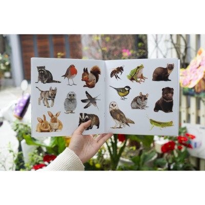 Sách Bóc Dán Phát Triển Ngôn Ngữ Và Nhận Biết - Cho Trẻ Từ 3 Tuổi - Combo 6 Cuốn - Đinh Tị Books