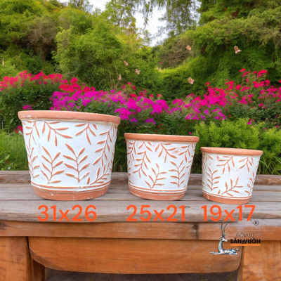 Bộ 3 Chậu Vót Sơn WAX Vân Lá Liễu