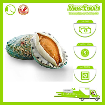 Bào Ngư Úc Xanh Ngọc Bích Nguyên Vỏ - Túi 1Kg (8-10 con)